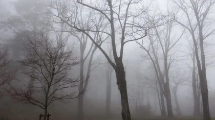 Тұман мен көктайғақ: 22 наурызға Қазақстанның бірнеше өңірінде дауылды ескерту жарияланды