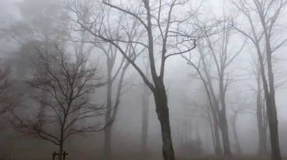 Қарағанды облысында тұманда адасып кеткен ер адам табылды