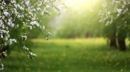 30 градус ыстық болады: наурыз айының соңғы күндеріне арналған ауа райы болжамы жарияланды