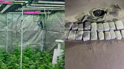 Героин, метамфетамин, апиын, марихуана: ҰҚК жыл басынан бері 240 кг есірткі тәркіледі