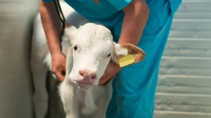 Ауылда малшы, сауыншы, ветеринар жетіспейді – депутат агросектордағы проблемаларды тізбектеп шықты