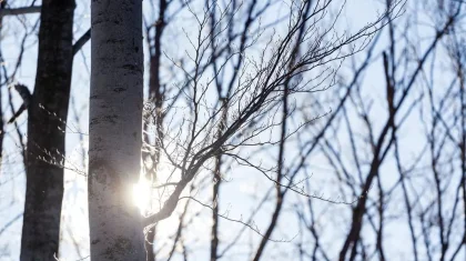 Қазақстанда күн күрт жылиды: 3 сәуірге арналған ауа райы болжамы