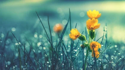 Жаңбырлы күндер келе жатыр: алдағы демалыс күндеріне арналған ауа райы болжамы жарияланды