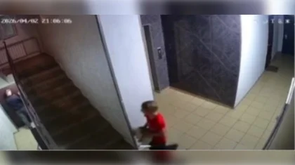 Қабырғаға соғып, үстіне секірген: Алматыда мысықты қинаған жасөспірімнің видеосы жарияланды