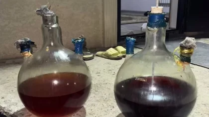 Жетісу облысында екі шетел азаматы есірткі зертханасын ашып алған: оларда 1,3 кг мефедрон табылды