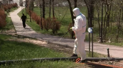 Түркістан облысы мен Шымкентте зиянкестермен күрес басталды