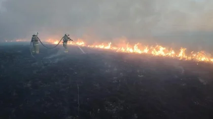 Ақмола облысында құрғақ шөп өртенді