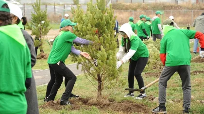 Алматыда биыл 550 мыңнан аса жасыл желек отырғызылады