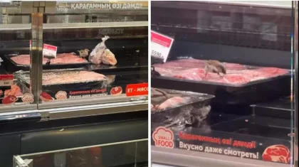 Астанадағы Small дүкенінде түсірілген видео жұртты алаңдатты: шикі ет үстінде торғайлар жүрген