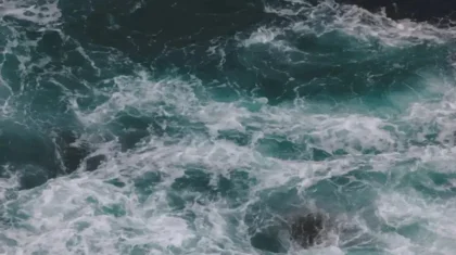 Ақмолада жоғалған гидробекет қызметкерін өзен арнасынан іздеп жатыр