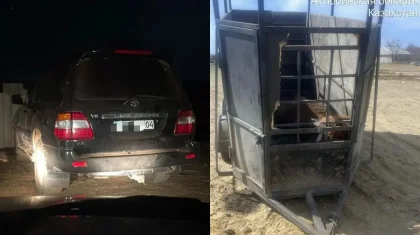 Ақтөбе облысында құлынды биені ұрламақ болған ер адамдар қолға түсті (ВИДЕО)