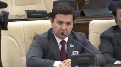 Қазақстанда ит қапқан адам қайтыс болса, иттің иесі қандай жауапкершілік арқалайды – депутат өзекті мәселе қозғады