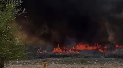 Қонаевта бір гектар жер алапат отқа оранды (ВИДЕО)