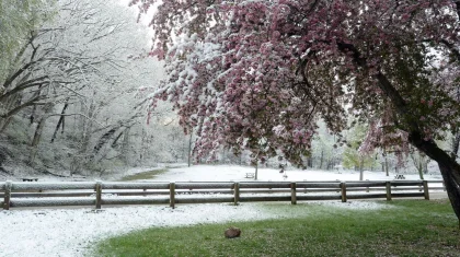 Қазақстанда алдағы демалыс күндері қар жауады