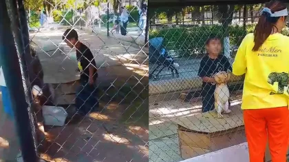 Шымкент зообағына келген әйел баласын қояндардың қорасына кіргізіп жіберіп, суретке түсірген (ВИДЕО)