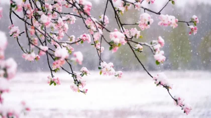 Қазақстанда алдағы күндері -18 градус болып, қар аралас жаңбыр жауады – ауа райы болжамы