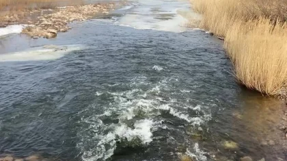 Селден қорғауға арналған мемлекеттік бағдарламаларға қаражат бөлінбеген – депутат