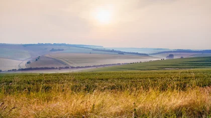 Шымкенттегі шенеуніктер иен далаға жарық пен су тартамыз деген желеумен 1,7 млрд теңгені игермек болған