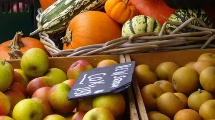 Агроөнеркәсіпте маман тапшы: ауыл шаруашылығына жаңа реформалар енгізілмек