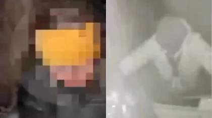 Сабындыкөлде әйел адам мал айдап бара жатып, батпаққа құлап кетті (ВИДЕО)