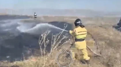 ШҚО-да 7 гектар жер қызыл жалынға оранды