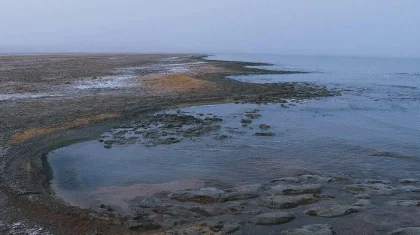 Тоқаев БҰҰ аясында Халықаралық Арал теңізі күнін белгілеуді ұсынды