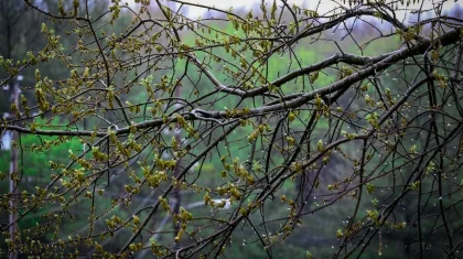 Жаңбыр, найзағай: 23 сәуірде барлық өңірде дауылды ескерту жарияланды