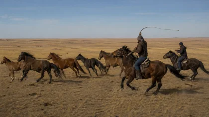 40-қа жылқы ұрлап, 15 млн теңге «тапқан»: Жамбыл облысында екі қылмыстық топ ұсталды