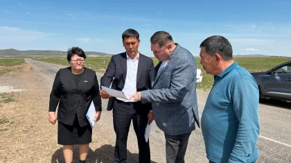 Құм көшкіні: nұрғындарды толғандырған мәселе назардан тыс қалмайды