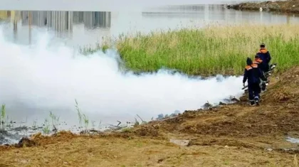 Астанада жәндіктерге қарсы ауқымды дезинсекция жұмыстары басталады