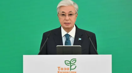 Балалар мен ересектер жиі зардап шегуде – Президент қаңғыбас иттер мәселесіне қатысты пікір білдірді