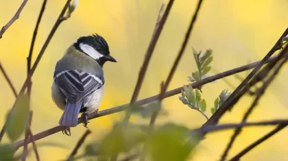 Бұршақ жауып, +30 градусқа дейін жылынады: 26 сәуірге арналған ауа райы болжамы
