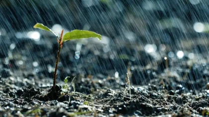 27 сәуір күні ауа райы қандай болады