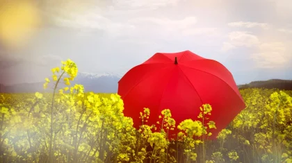 Мамыр айының алғашқы күндері Қазақстанда ауа райы қандай болады