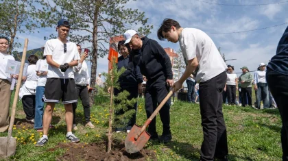 «Таза Қазақстан»: Өскеменде мектеп бітіруші түлектер 2,5 мың түп ағаш екті