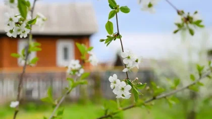 Синоптиктер 8 мамырға арналған ауа райы болжамын жариялады