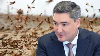 Бектенов АШМ мен әкімдерге шегірткеге қарсы күресті күшейтуді тапсырды
