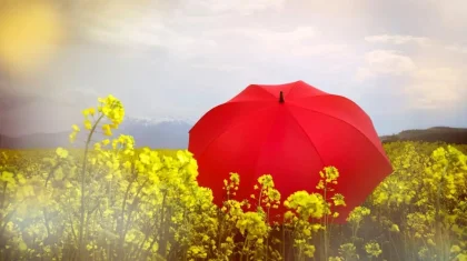 Қазақстанның бірқатар өңірінде 35 градусқа дейін ыстық күтіледі