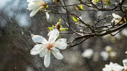 22 мамырда Қазақстанның барлық өңірінде дауылды ескерту жарияланды
