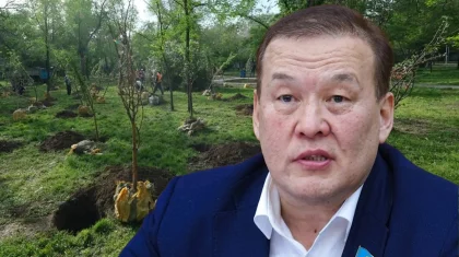 «Мемлекеттік органдар сапасыз көшет алады»: депутат ағаш егу сапасын сынға алды
