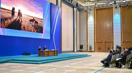 Тоқаев пен Путин Амур жолбарыстары Қазақстанға қаншалықты жерсінгенін көрді