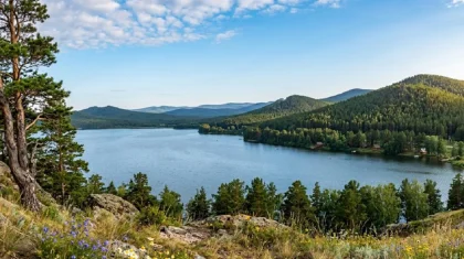 Зерендіде прокурорлар шаруалардан 800 гектарға жуық жерді тартып алды