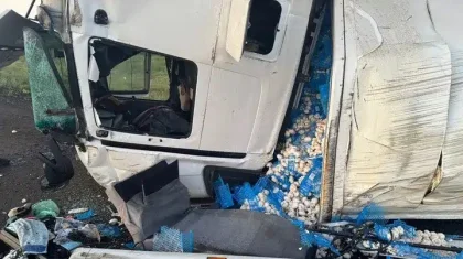 Астанаға бет алған 17 тонна саңырауқұлақ тиелген жүк көлігі аударылып қалды
