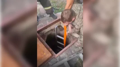 Шахтинскіде екі зейнеткер құдыққа түсіп кетті