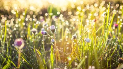 21 маусымда Қазақстанның бірқатар өңірінде аптап ыстық сақталады