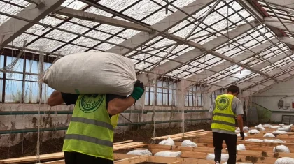 «Agro Eco Hub»: Қостанай облысында экологиялық волонтерлікті дамытуға арналған жылыжай ашылды