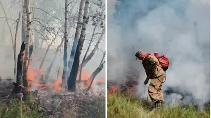 Найзағайдан кейін Қазақстанның төрт өңірінде орман өрті шықты