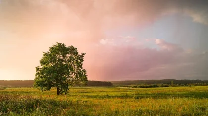 Қазақстанның басым бөлігінде 1 шілдеде найзағай ойнап, аптап ыстық сақталады