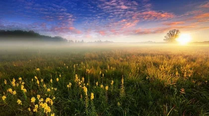 38 градус ыстық, жаңбыр, бұршақ: шілденің алғашқы күндері ауа райы қандай болады