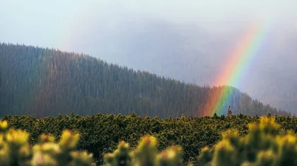 4 шілдеде Қазақстанның басым бөлігінде жаңбыр жауып, аптап ыстық сақталады